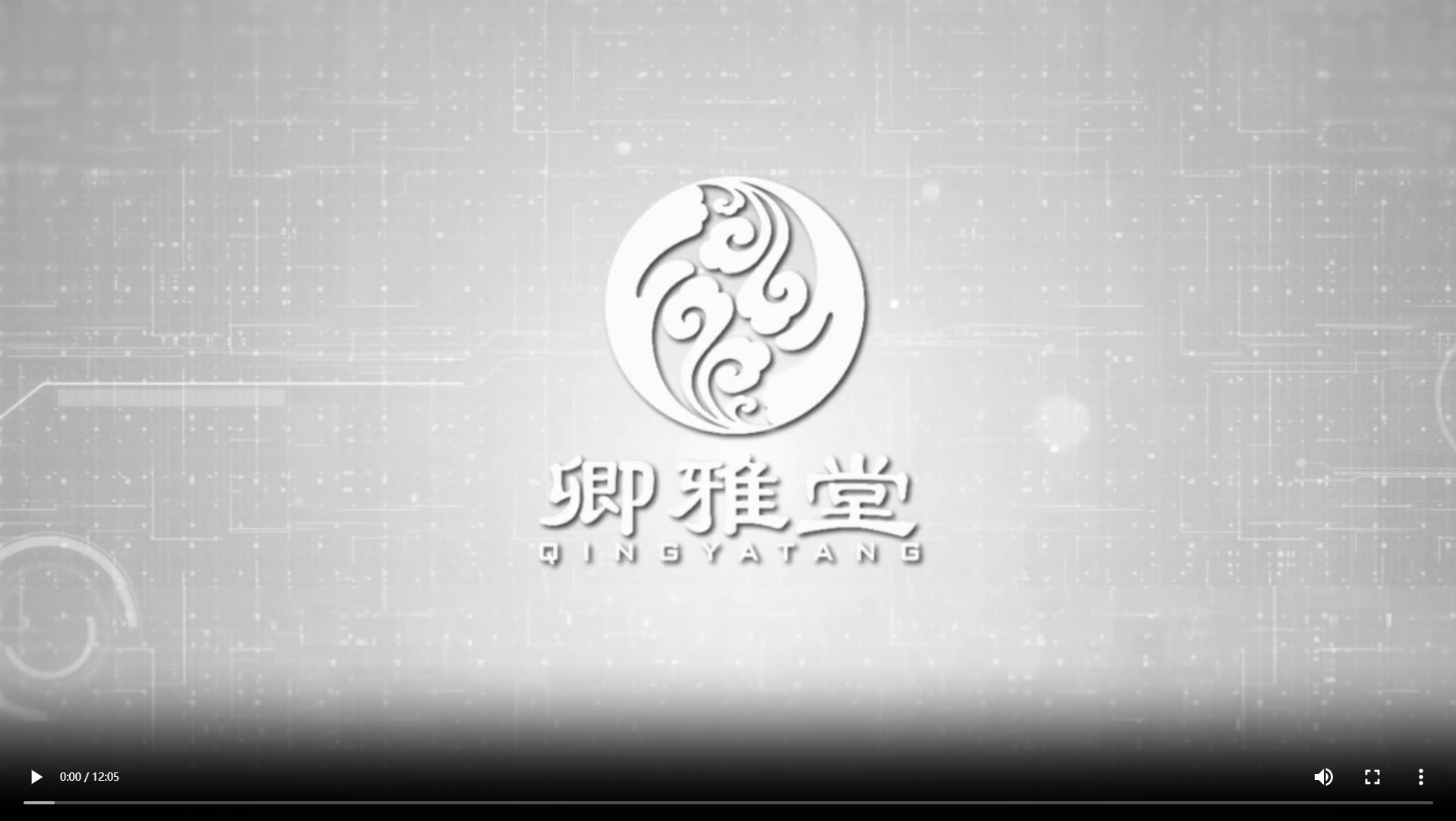 企业宣传片